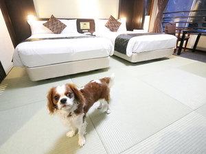 シャトレーゼホテル石和