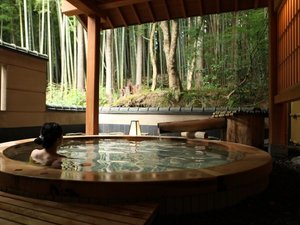 女性の露天風呂から見える景色は竹林