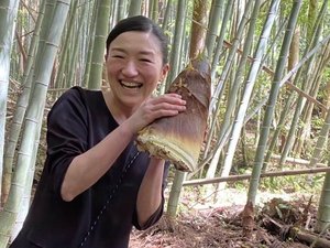 裏山で筍を収穫!こんなに大きいのに柔らかくて美味しい。