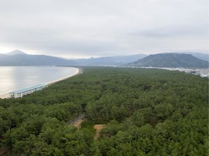 客室からの景色一例