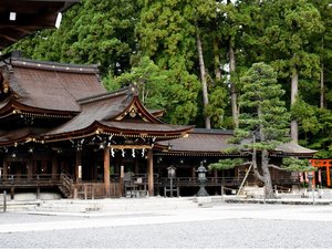 【当館から車で約10分】「お多賀さん」として親しまれ、生命の神様として信仰を集めている「多賀大社」