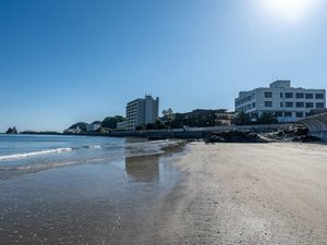 �y���ӊό��z���₩�Ȕg���L����A���Y�̊C