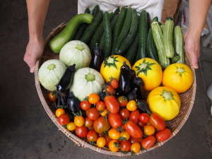 【山梨県:石和・勝沼・塩山】自家菜園の宿 ホテルうかい