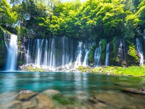 �y���ق���Ԃ�45���z�x�m�R�̐�����������ꗎ����A���̖����Ɏw�肳�ꂽ��u�����̑�v
