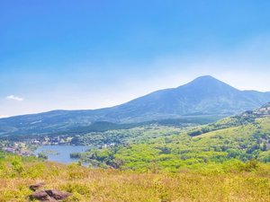 【白樺湖】湖周辺にドッグカフェや散策道あり/高原の空気でリフレッシュ