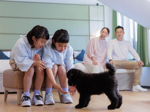 田沢湖レイクリゾート 