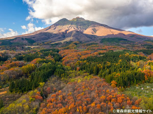 紅葉の岩木山(秋)