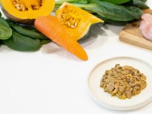 わんちゃん用ご飯国産無添加ドッグフード(チキンorフィッシュ)前日までに要予約各1,650円