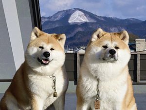 ӂ邳킨񂹂̎{ݎʐ^1