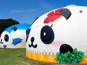 アロハちゃん&まぐぱん