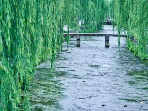 �����̉��ɂ͌Â��͘a�̂ɂ��̂�ꂽ���삪����Ă��܂��B