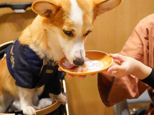 施設