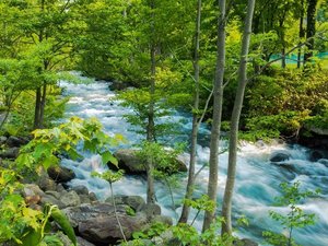【部屋】小樽市内唯一の温泉地である朝里川温泉を借景に全19の客室をご用意いたしております。