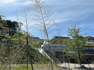 �T���Z�o�X�`�����ʂ�