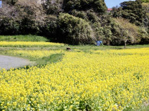 【さとはま縄文の里史跡公園】縄文時代の景観を再現した公園。奥松島縄文村のさらにその奥にがあります。