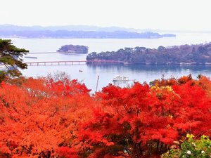 秋・西行戻し公園からの眺望。紅葉の奥に松島の島々を望むことができる。