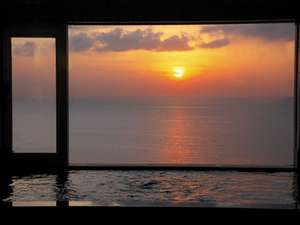 �y�ŏ�K�̒j���ʓW�]���C�z�[���̓W�]����