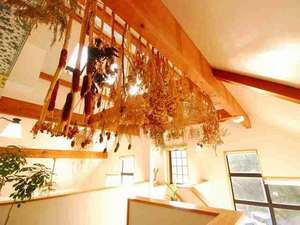 館内は清潔感あるれる 癒しの空間