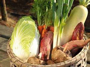 自家栽培の新鮮なお野菜を使っています