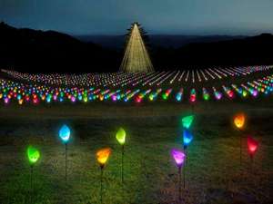 マザー牧場◆イルミネーション◆