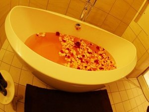 �S���g�̂��������t�����[�o�X