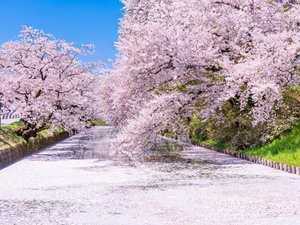 �y���ق���k���Ŗ�15���z�O�O����