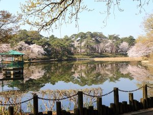【当館から徒歩15分】広大な敷地で、動物園や博物館、四季折々の自然を楽しめる「大宮公園」