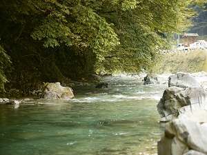 【四万川夏景色】