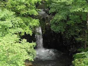 【小泉の滝夏景色】