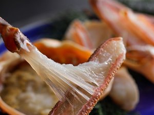  �y�~�E�[�H�z���I�m���n�g���k���痣��ɂ����̂͑N�x�̗ǂ��I�̏�