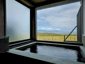 【海景・庭園付】温泉露天風呂付 和室(1階)