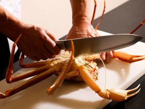 【冬の献立一例】鮮度抜群の活松葉蟹。熟練の技で、豪快に捌きます。