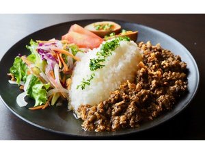 �w������H�J���[�x�F�{�J���[���I���g�b�v10����̃��C�I���J���[�Ƃ̃R���{���i�B�}�Ȓ������Ή��I