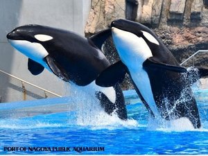 �y���ӊό��z���É��`�����فF���ق��n���S2�w�^���Ԃ�5���I���{�ł͒������V���`�̂��鐅���قł��B