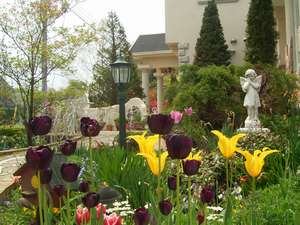 �y�Ȗ،�:�ߐ{�E���z�y���V�I�[�l �T���C