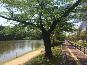 天気のいい日にはお散歩もいいですよ(*^^*)