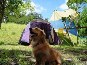 【大分県大分市内の貸し別荘・コテージ・ログハウス】うめキャンプ村
