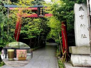 �v���������{�_�ЃX�C�[�c�`�P�b�g�t�v����