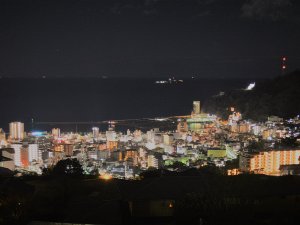 �i�ρ���͔M�C�̖�i���ЂƂ肶��