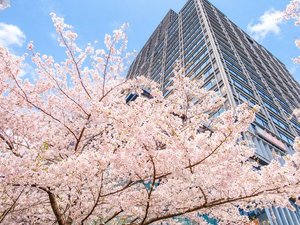 外観【春】