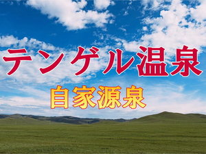モンゴリアビレッジテンゲルの温泉は、敷地内から湧き出る自家源泉で美肌効果が期待できます