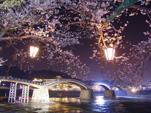 3月下旬〜4月上旬の見頃に合わせて、桜のライトアップが行われます。提供:山口県観光連盟