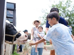 成田ゆめ牧場