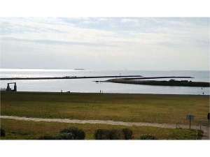 葛西海浜公園:都内唯一の海水浴場。潮干狩りも楽しめる。