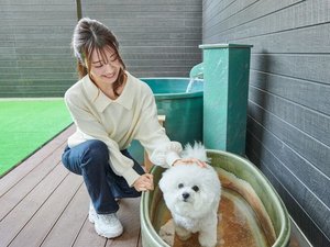 �q�������t���̘I�V���C�ɂ͂�񂿂��p�̉��炵�����D���I��񂿂����H�ۉ�������\
