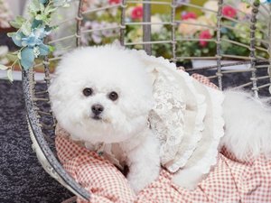 ������񂿂��̎ʐ^�������ς��B���āA��������̎v���o���������A�肭��������