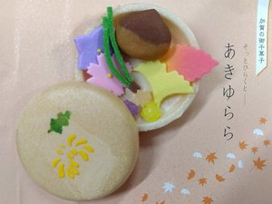 ���Ȃ��̔���Ђ炭�ƁA���ɂ͉��炵���G�߂̌䊱�َq�Ɛ肢�̌�D�������Ă��܂��B
