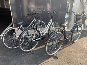 �y�����^�T�C�N���i�����j�z���m�s�������]�Ԃŉ���Ă݂Ă͂������ł��傤���H