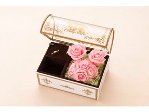 �v���U�[�u�h�t�����[A(�C���[�W)(C)Disney