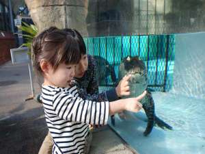 �M��o�i�i���j��